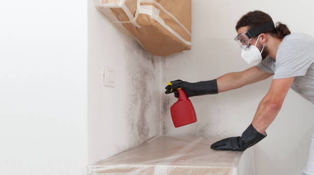 Professional Mold Remediation technician working in Roslyn Estates, NY
