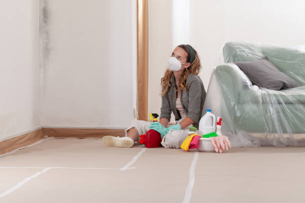 Reliable Mold Remediation contractor in Roslyn Estates, NY by 24 Hour Mold Removal